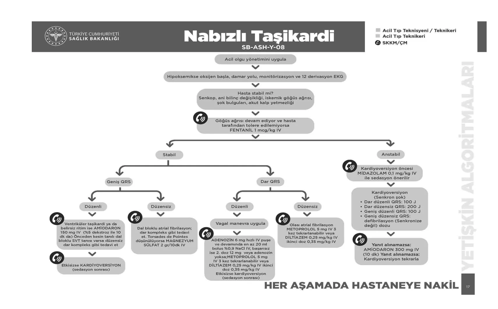 Nabızlı Taşikardi — resmî akış şeması, sayfa 17