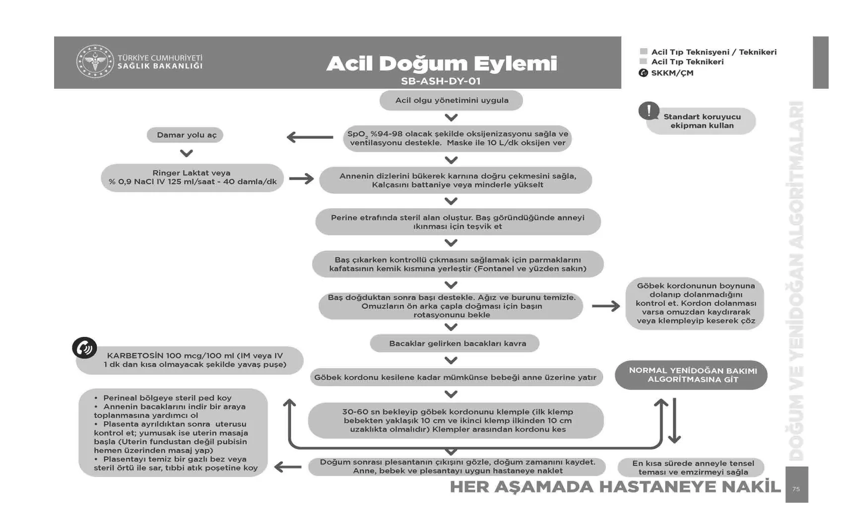 Acil Doğum Eylemi — resmî akış şeması, sayfa 75